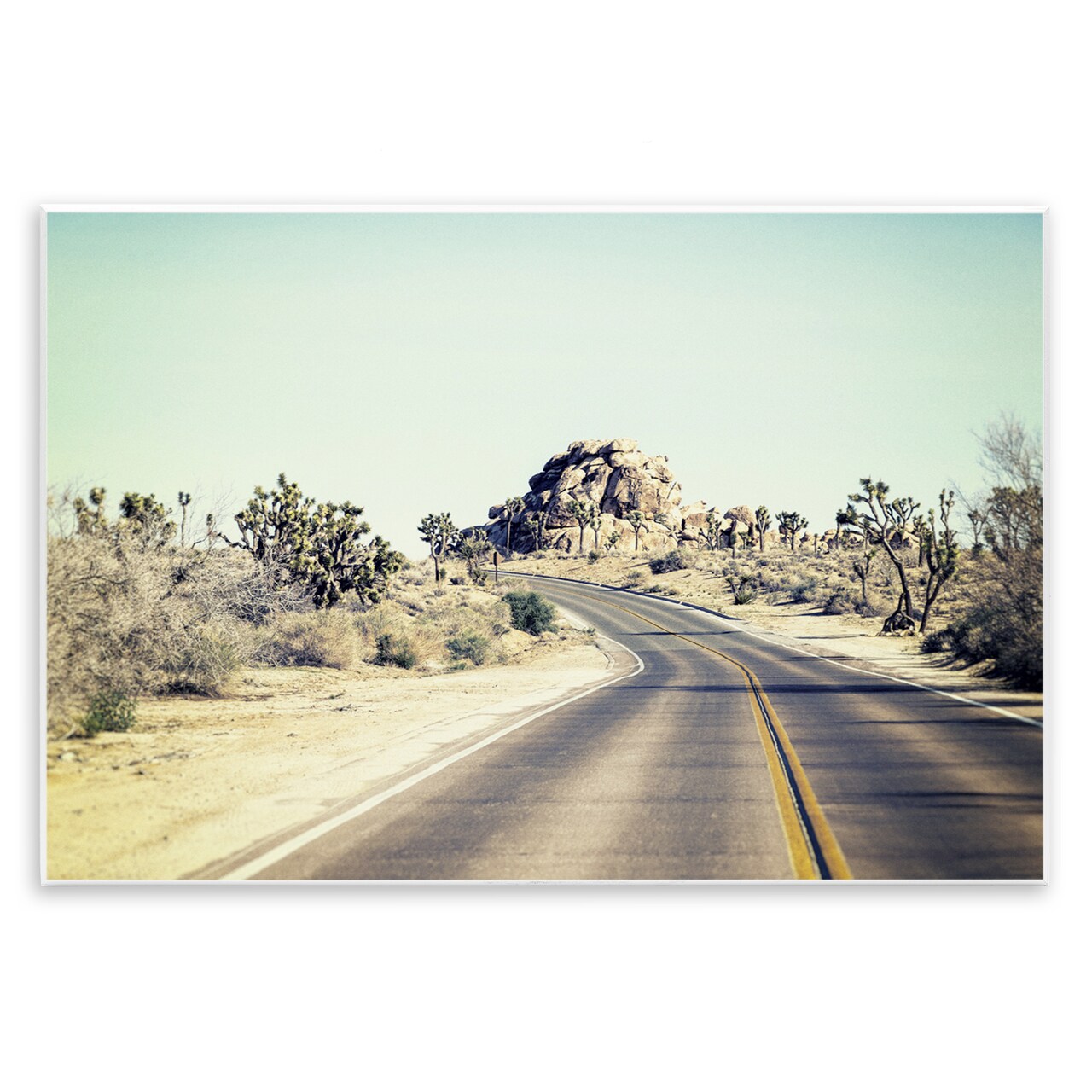 Stupell Industries Road Trip Joshua Tree Park Wall Plaque, design by Joseph S Giacalone